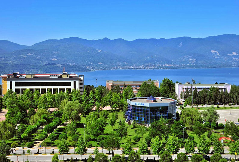 Sakaria University